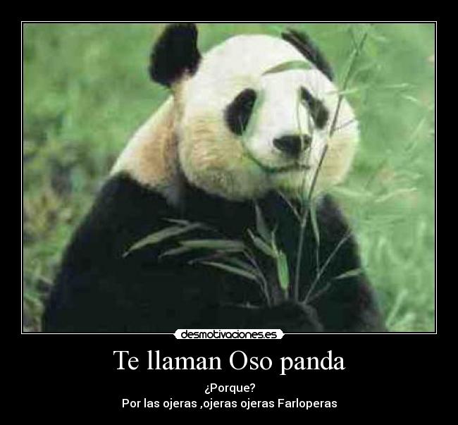 Te llaman Oso panda - ¿Porque?
Por las ojeras ,ojeras ojeras Farloperas