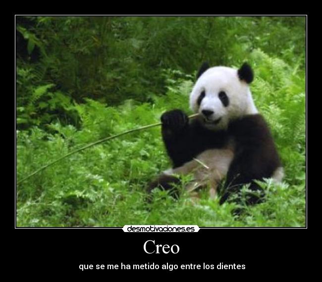 Creo -