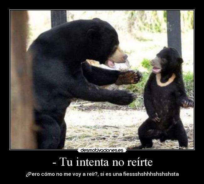 - Tu intenta no reírte - ¿Pero cómo no me voy a reír?, si es una fiessshshhhshshshsta