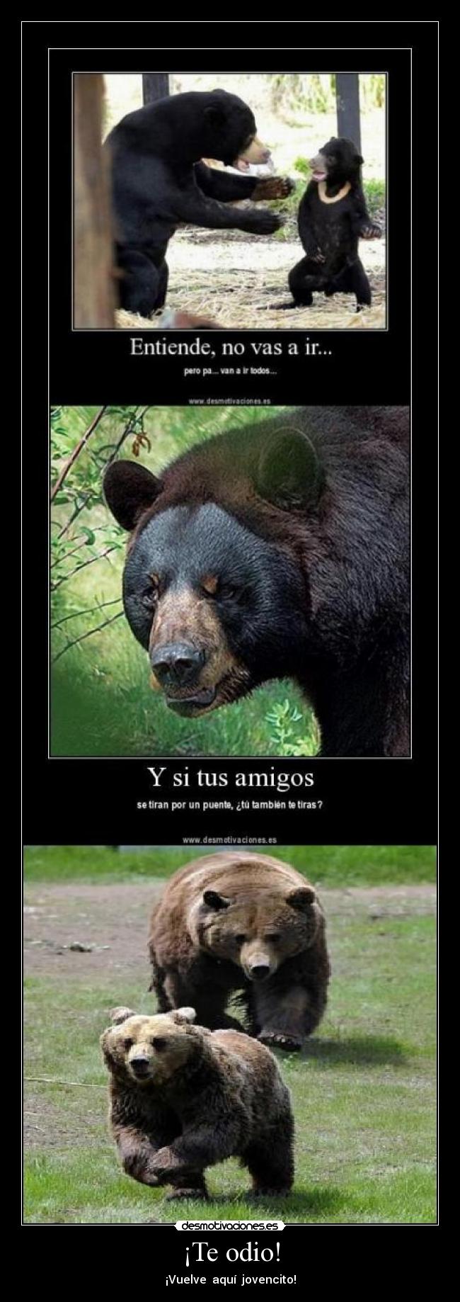 ¡Te odio! - ¡Vuelve aquí jovencito!