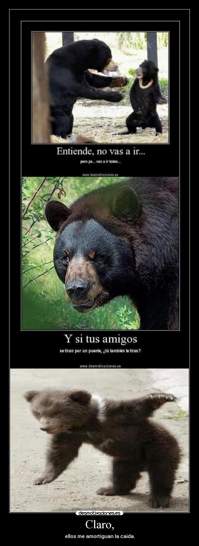 Claro, - ellos me amortiguan la caida.