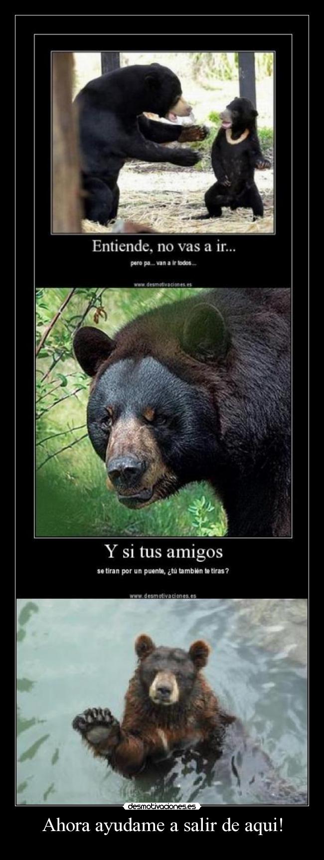 Ahora ayudame a salir de aqui! -