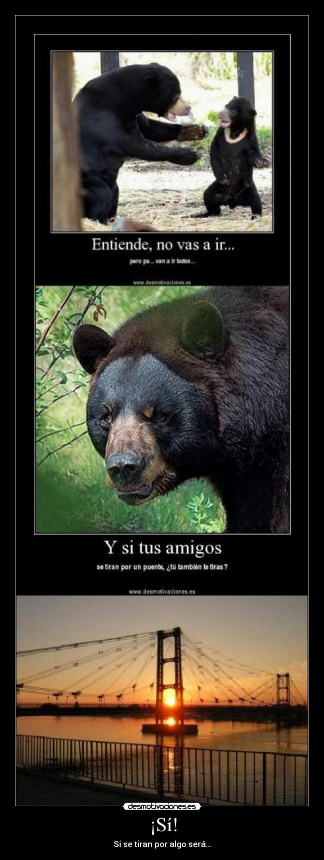 ¡Sí! - Si se tiran por algo será...