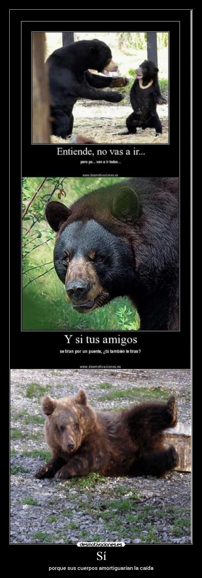 Sí - porque sus cuerpos amortiguarían la caída