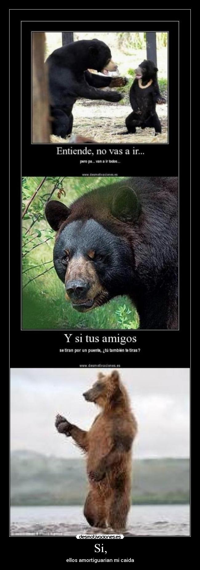 Si, - ellos amortiguarian mi caida