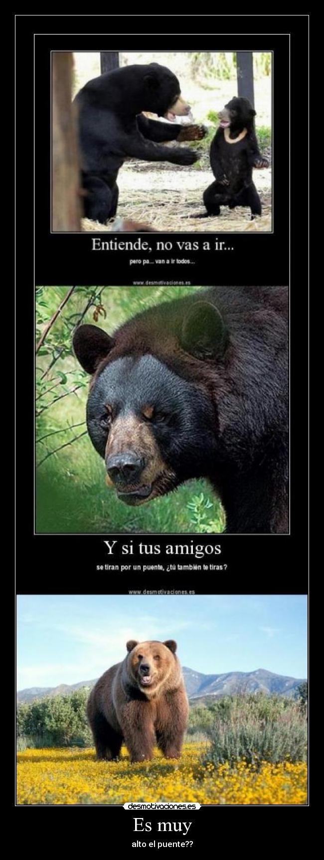 Es muy - alto el puente??