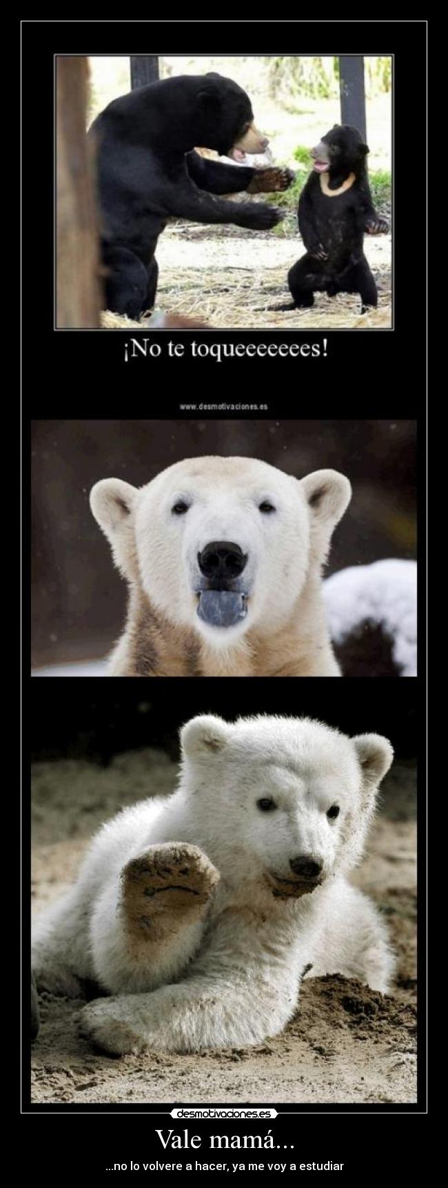 Vale mamá... - ...no lo volvere a hacer, ya me voy a estudiar