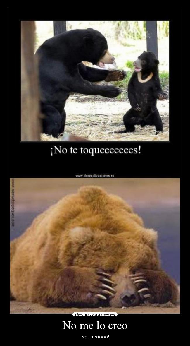 No me lo creo - se tocoooo!