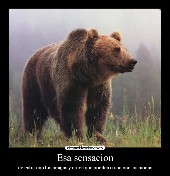 Esa sensacion - 