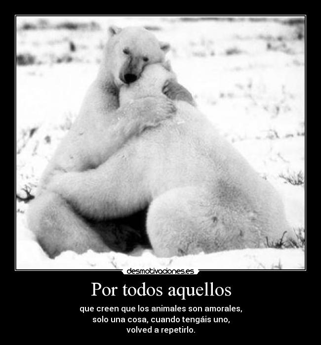 carteles animales desmotivaciones