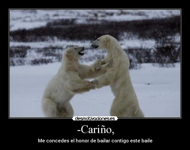 -Cariño, - 