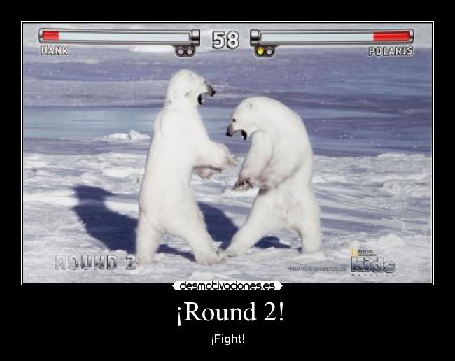 ¡Round 2! - ¡Fight!