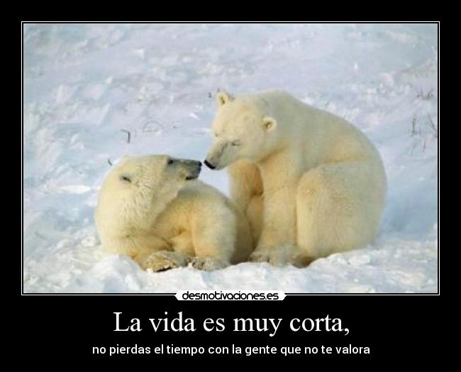 La vida es muy corta, - 