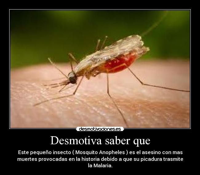 Desmotiva saber que - 