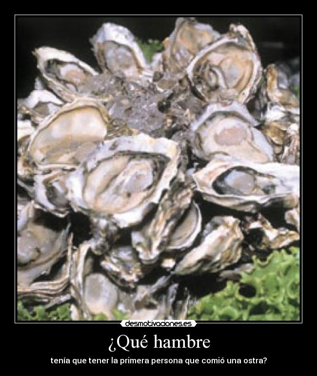 ¿Qué hambre -