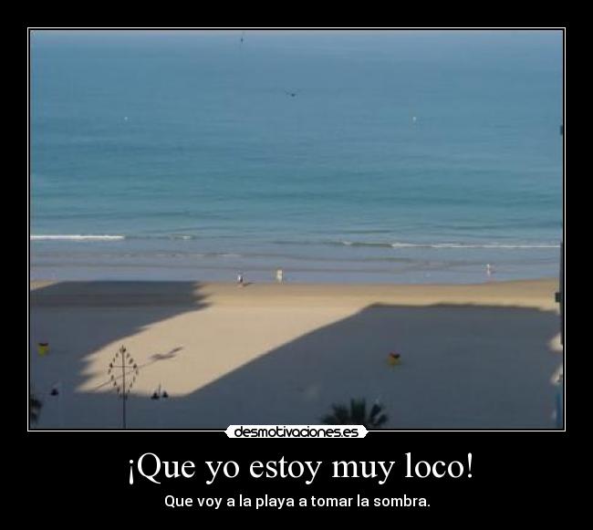 ¡Que yo estoy muy loco! -