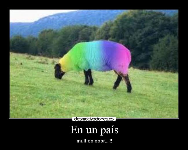 En un país - multicolooor....!!