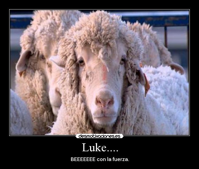 Luke.... - BEEEEEEE con la fuerza.
