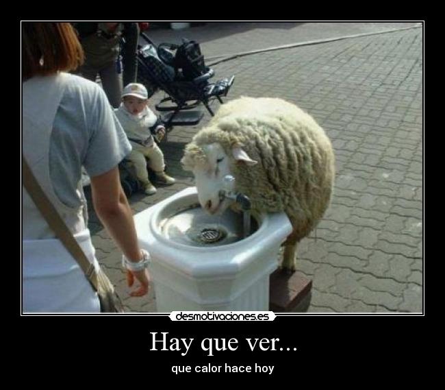 Hay que ver... - que calor hace hoy