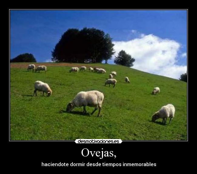 Ovejas, - haciendote dormir desde tiempos inmemorables