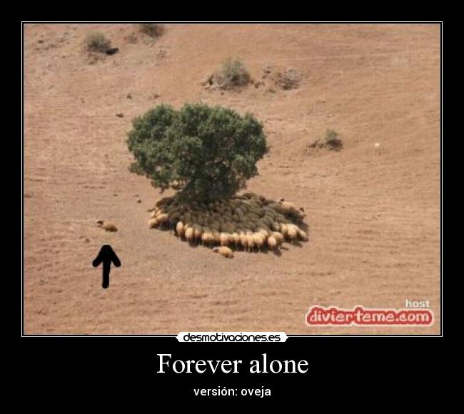 Forever alone -