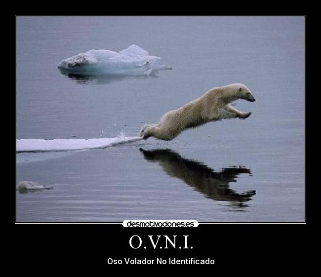 O.V.N.I. - Oso Volador No Identificado