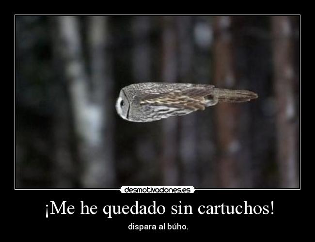 ¡Me he quedado sin cartuchos! - 