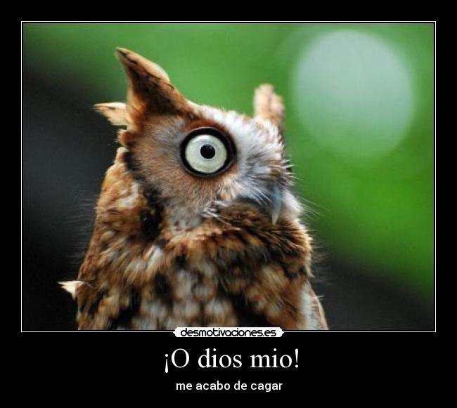 ¡O dios mio! -
