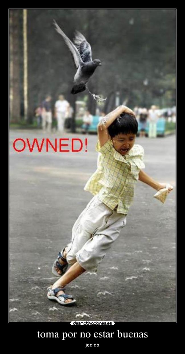 toma por no estar buenas - jodido