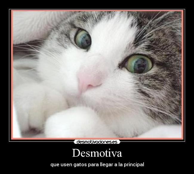 Desmotiva - 