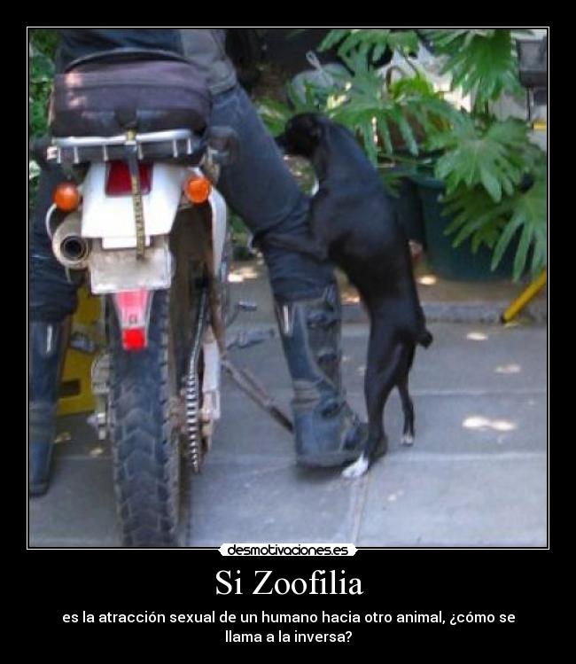 carteles zoofilia humano pierna desmotivaciones