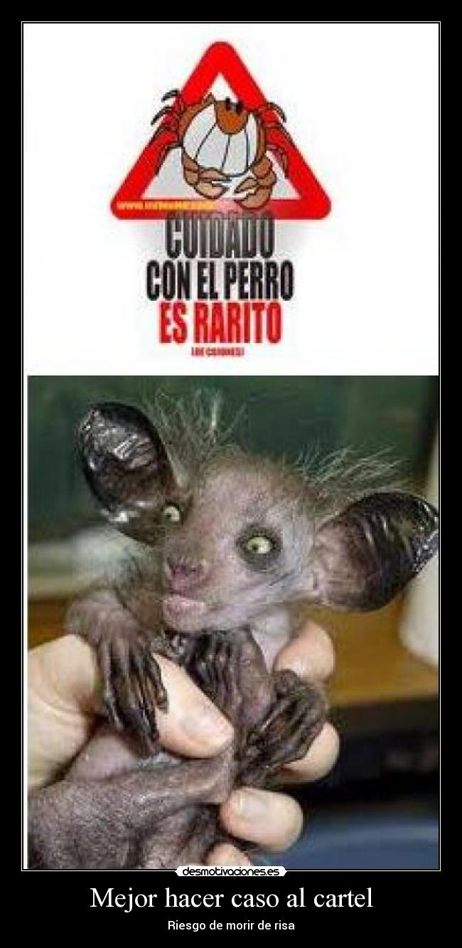 Mejor hacer caso al cartel - Riesgo de morir de risa