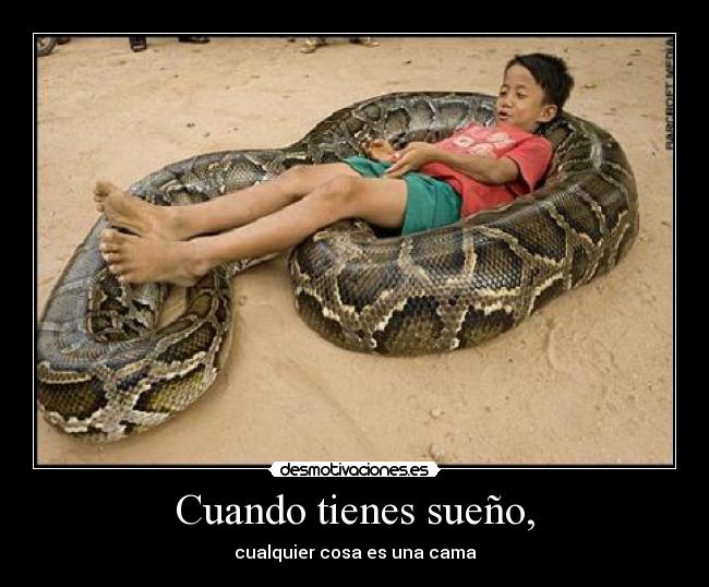 Cuando tienes sueño, -