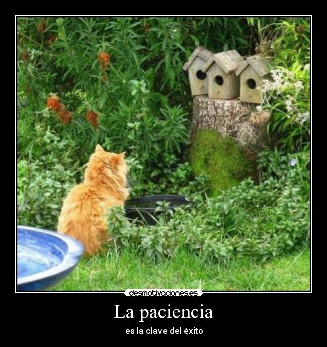 carteles niy desmotivaciones