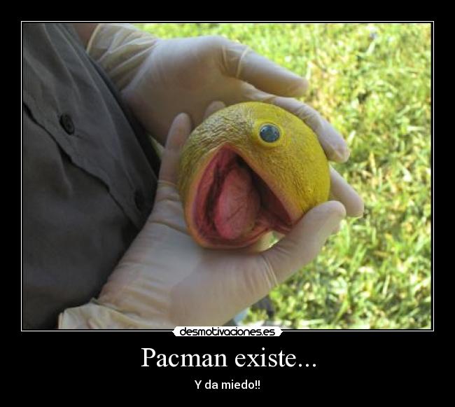 Pacman existe... - 