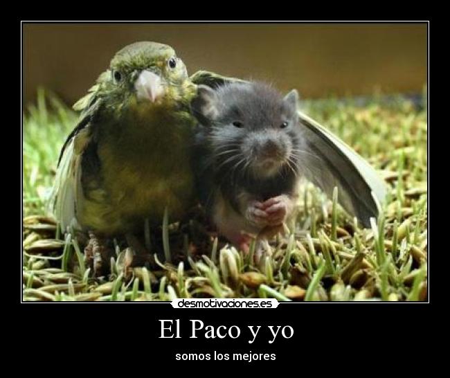 El Paco y yo - somos los mejores