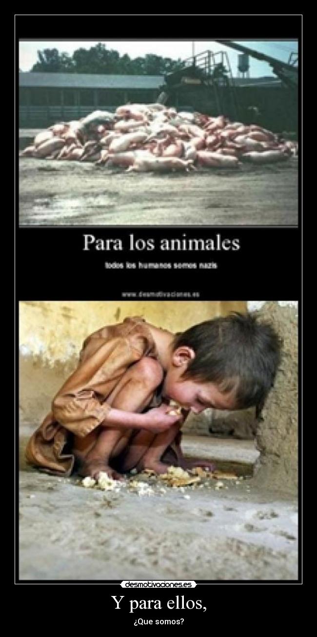 carteles humanidad desmotivaciones