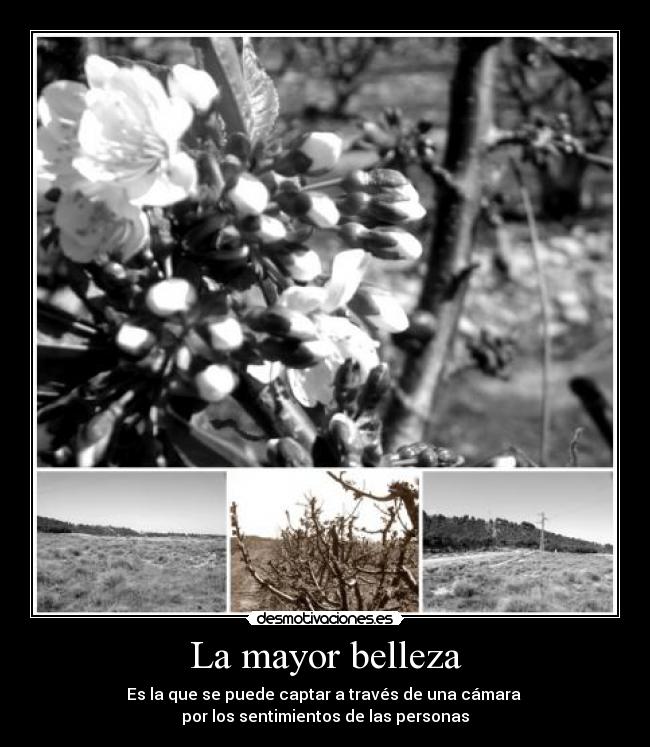 carteles sandriita_casiguapa desmotivaciones