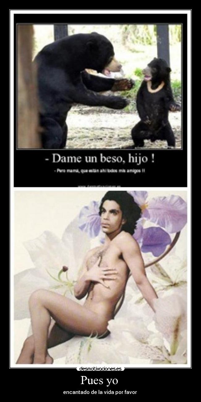 Pues yo  - encantado de la vida por favor 