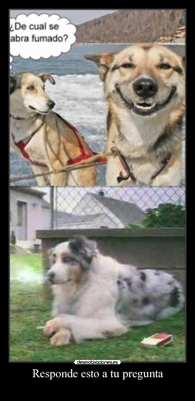 carteles responde esto pregunta desmotivaciones