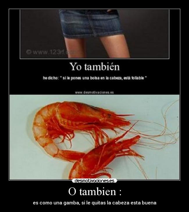 O tambien : -