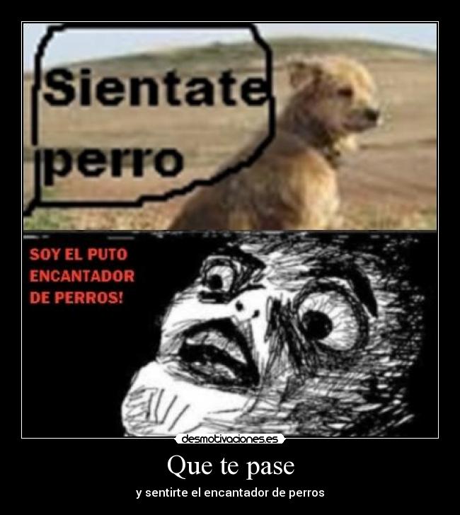 Que te pase - y sentirte el encantador de perros