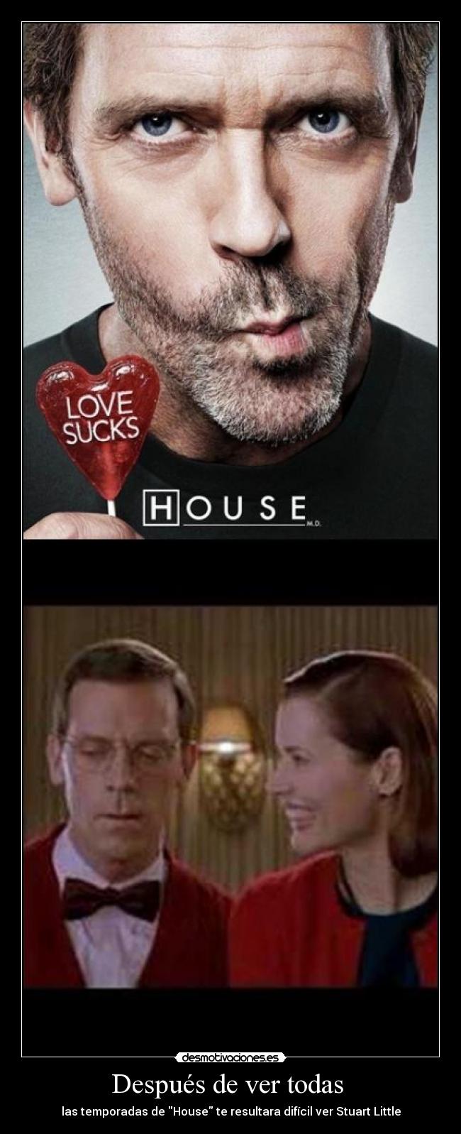 Después de ver todas  - las temporadas de House te resultara difícil ver Stuart Little