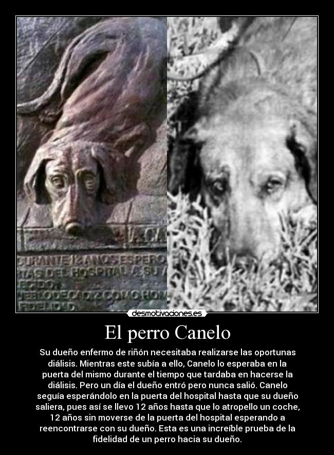 El perro Canelo -