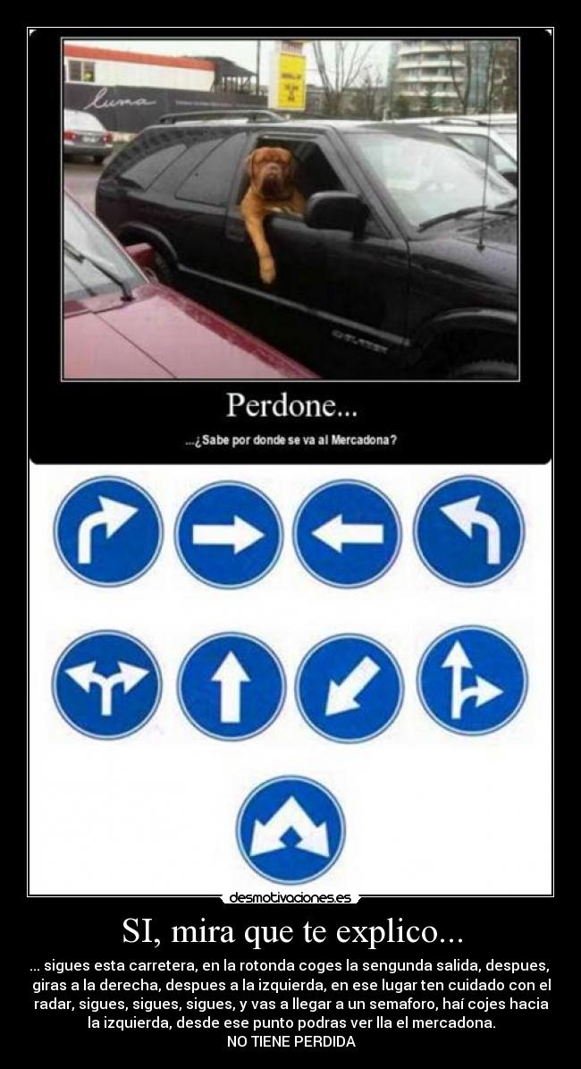 SI, mira que te explico... - ... sigues esta carretera, en la rotonda coges la sengunda salida, despues,
giras a la derecha, despues a la izquierda, en ese lugar ten cuidado con el
radar, sigues, sigues, sigues, y vas a llegar a un semaforo, haí cojes hacia
la izquierda, desde ese punto podras ver lla el mercadona.
NO TIENE PERDIDA