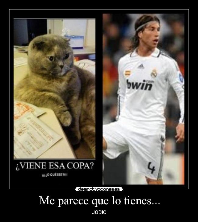 Me parece que lo tienes... - JODIO