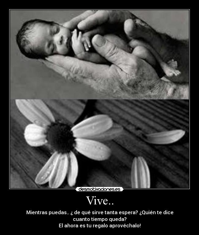 Vive.. - Mientras puedas.. ¿ de qué sirve tanta espera? ¿Quién te dice cuanto tiempo queda?
El ahora es tu regalo aprovéchalo!