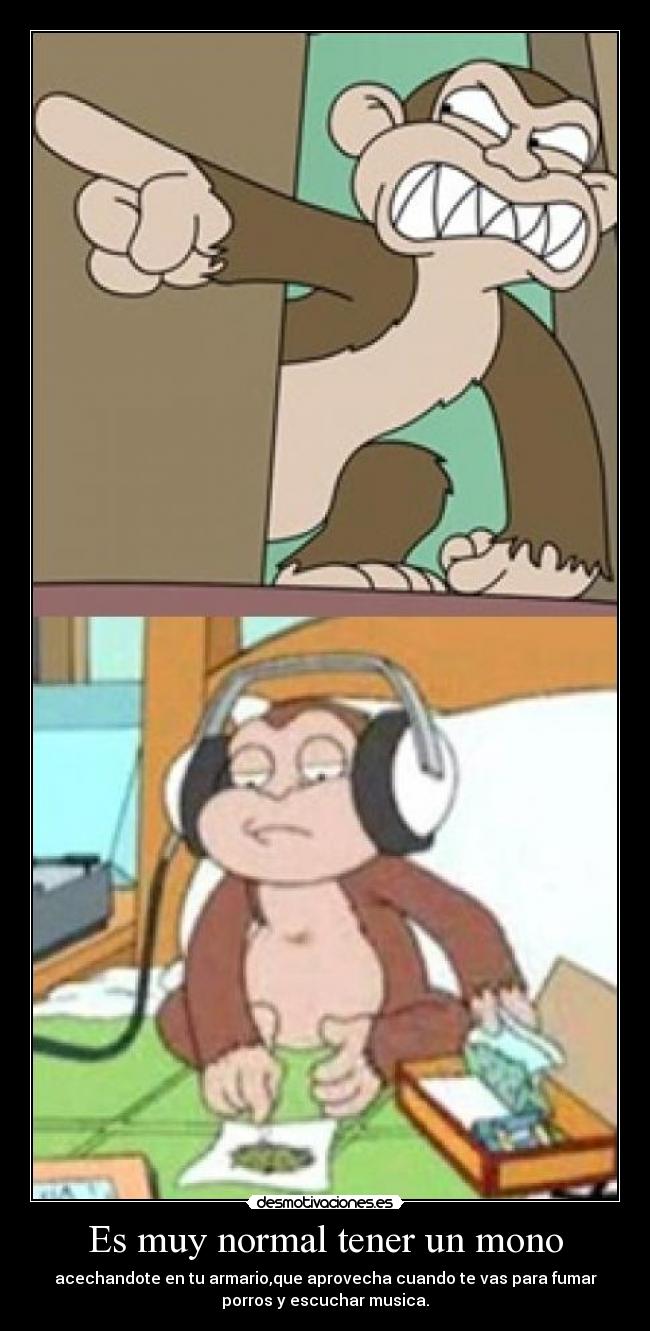 Es muy normal tener un mono - 