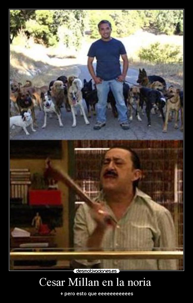 Cesar Millan en la noria - + pero esto que eeeeeeeeeees