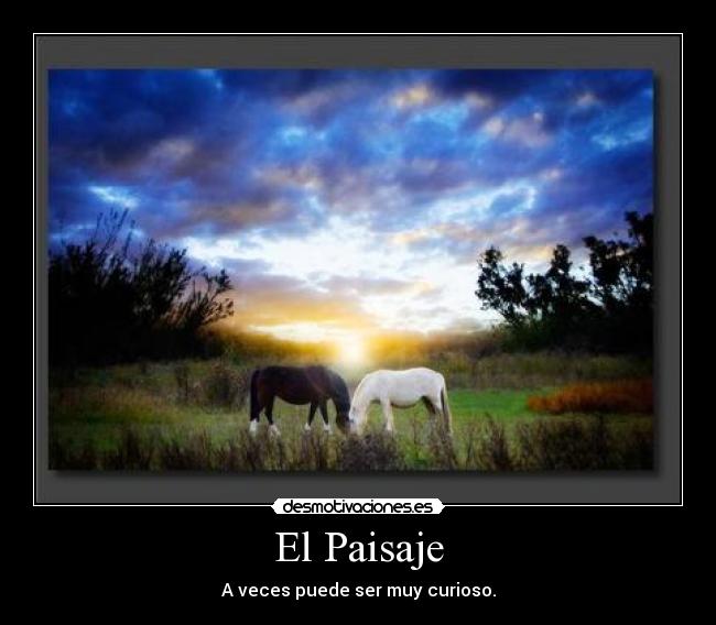 El Paisaje - 